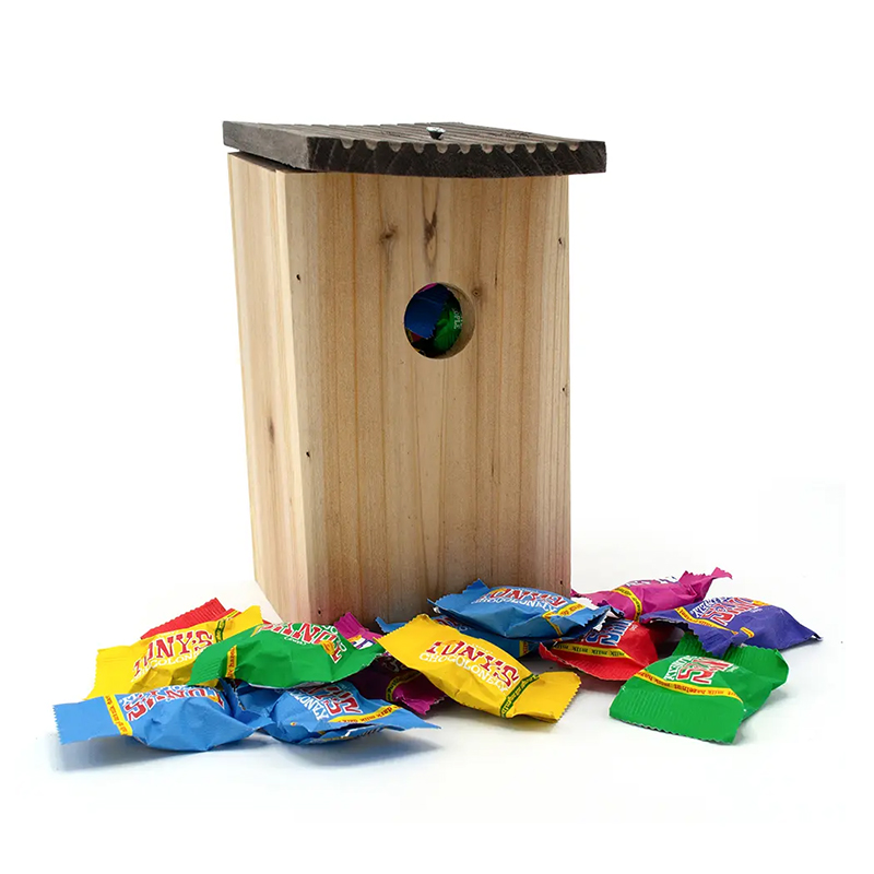 Birdhouse with Tiny Tony's